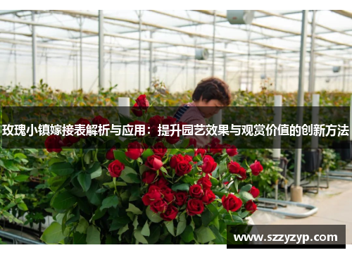 玫瑰小镇嫁接表解析与应用：提升园艺效果与观赏价值的创新方法